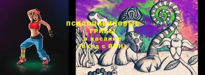 Галлюциногенные грибы Magic Shrooms  как найти закладки  Минусинск 